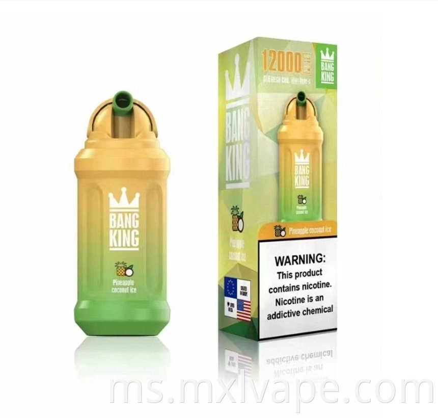 Bang King 12000 Puff Pucuk Bang 650mAh Bateri boleh dicas semula Bateri Gegelung 23ml Kapasiti Pods Vape Pena